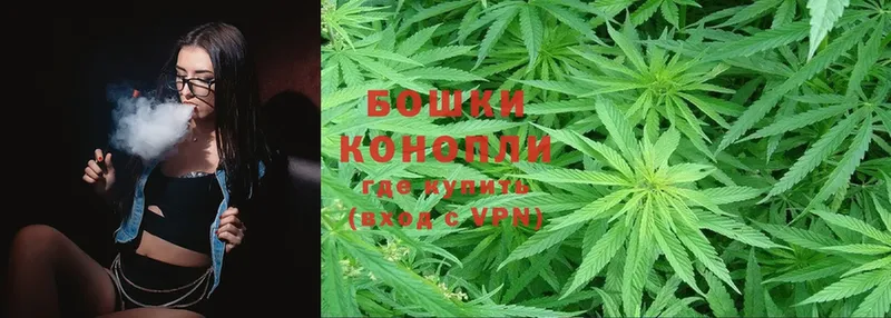 Конопля SATIVA & INDICA  закладка  Калязин 